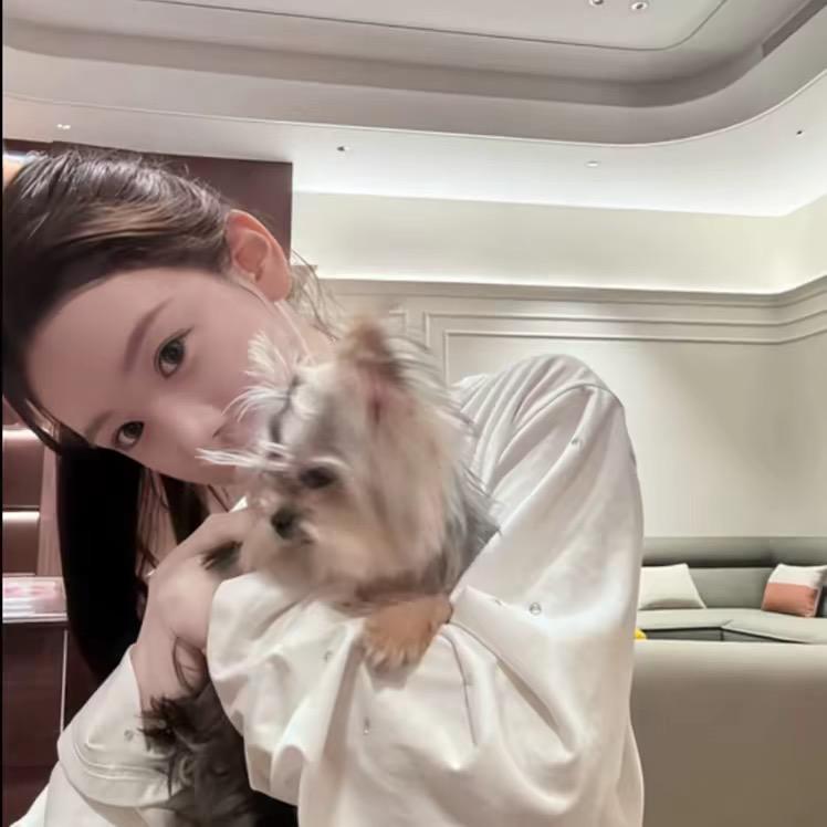 倪伽