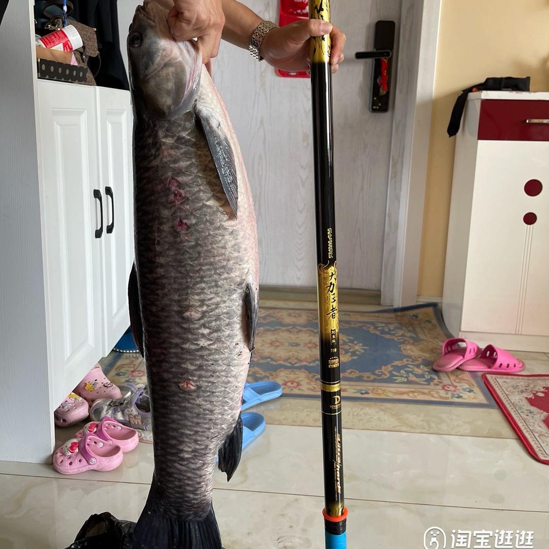 大力王者 耿耿