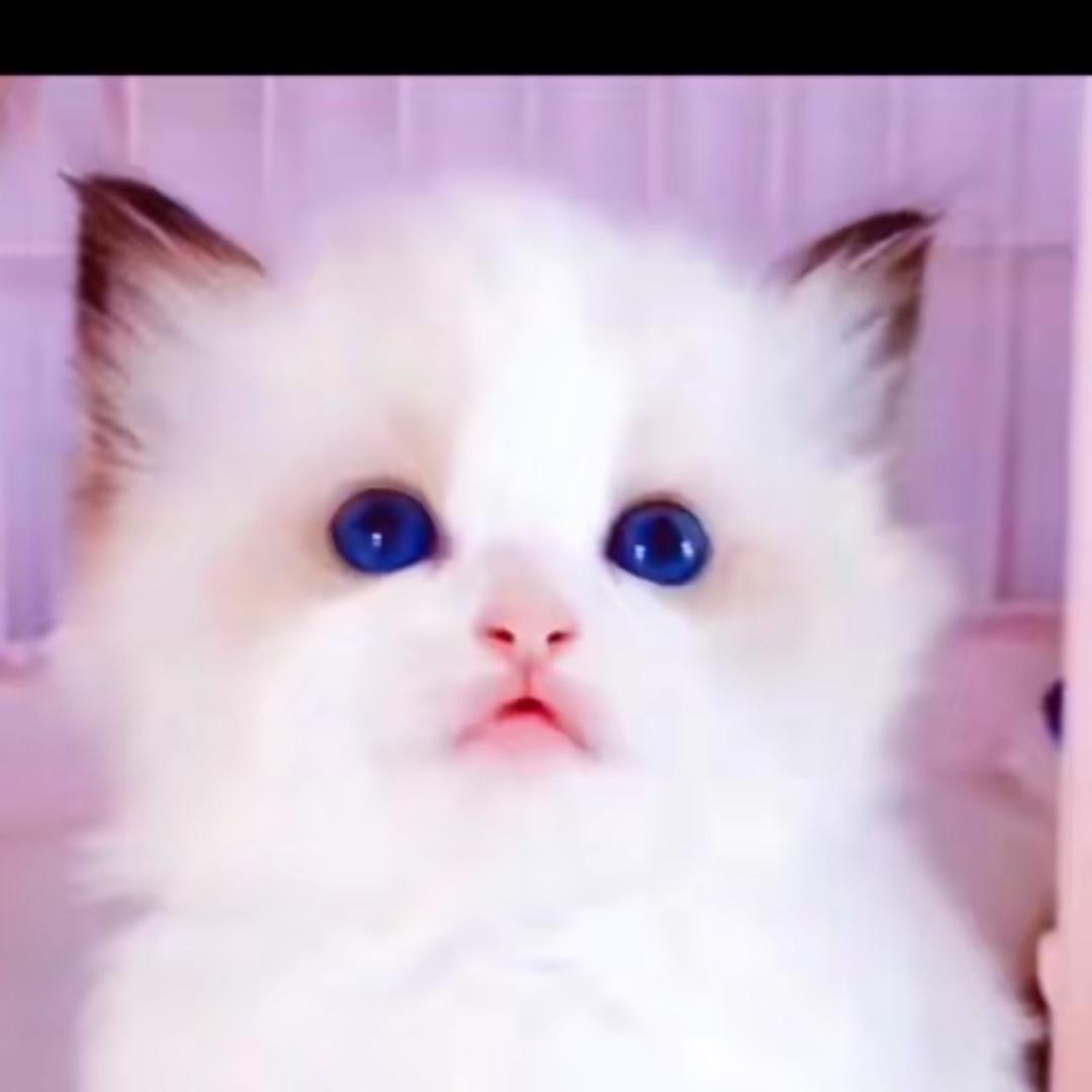 人生