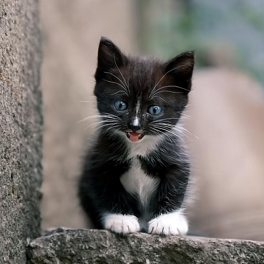 🌈💨幸运听众