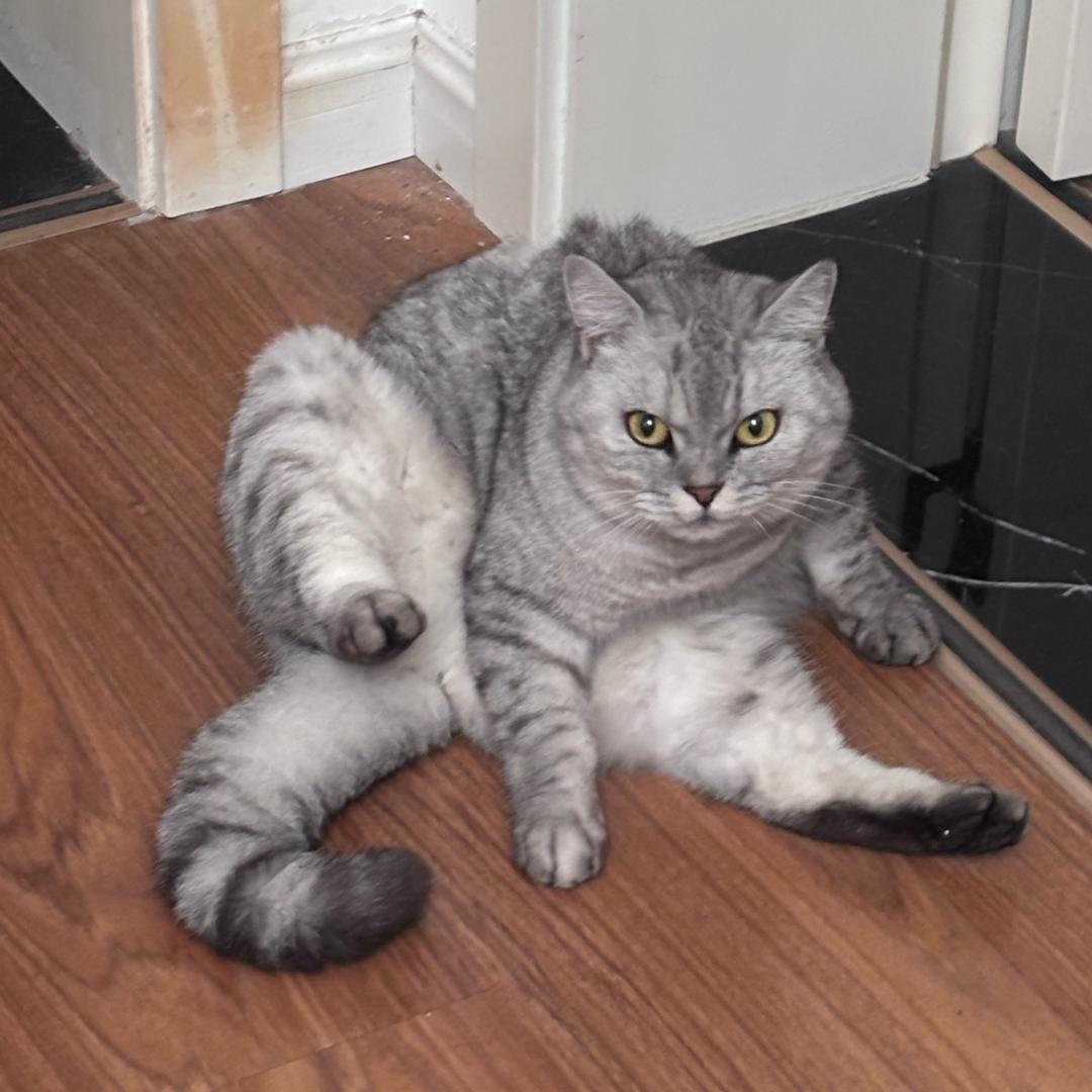 7iver❄️风镜万岁