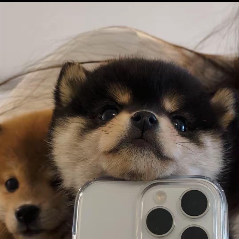 小沐沐服饰优选