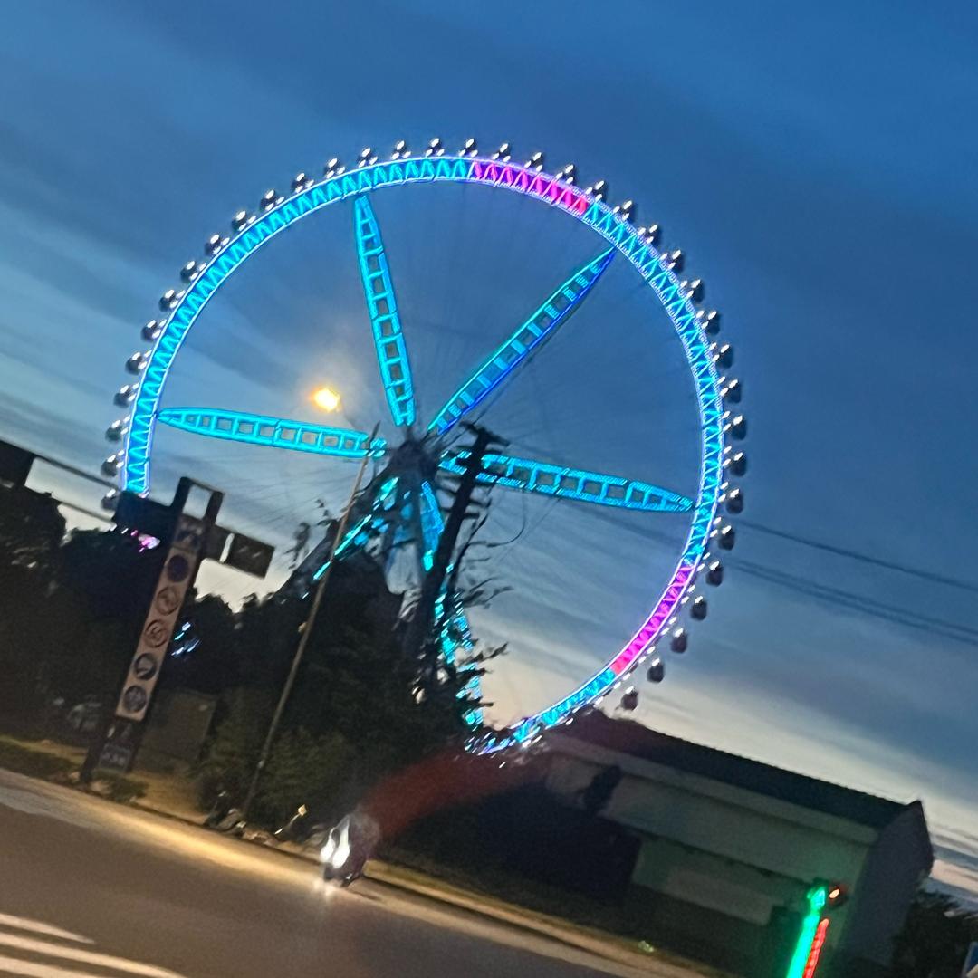 北极🐬