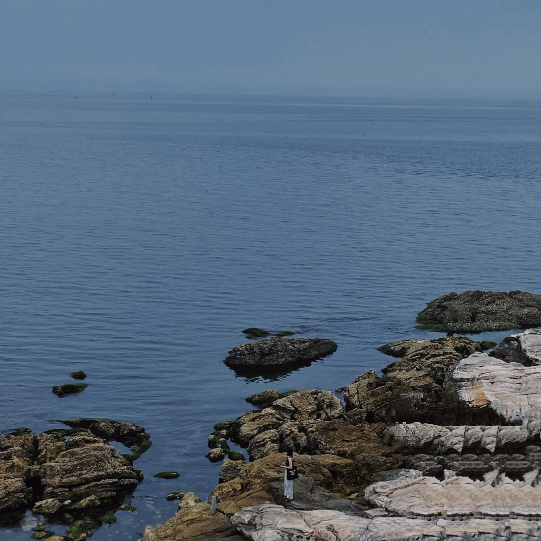 武陟光彩豆豆家