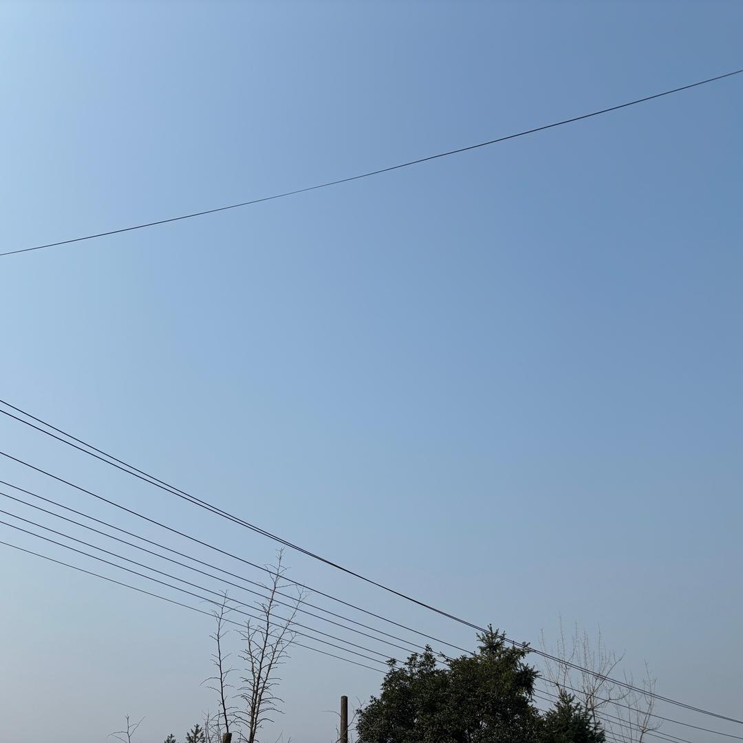 离别对我不算什么