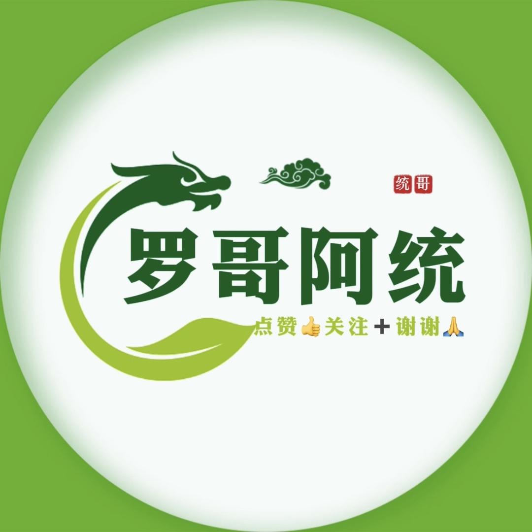 罗哥阿统