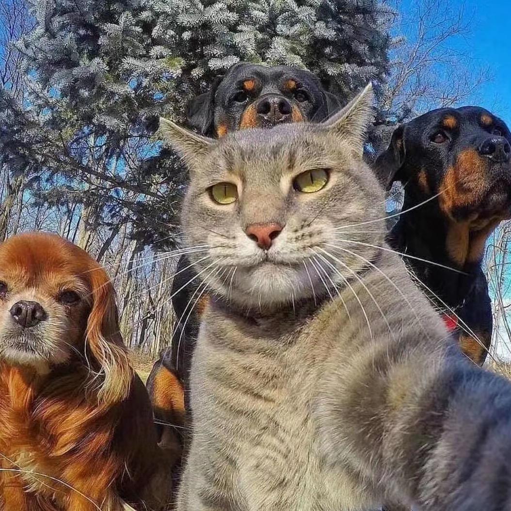 秀金穆锅庄团💃（小郎）