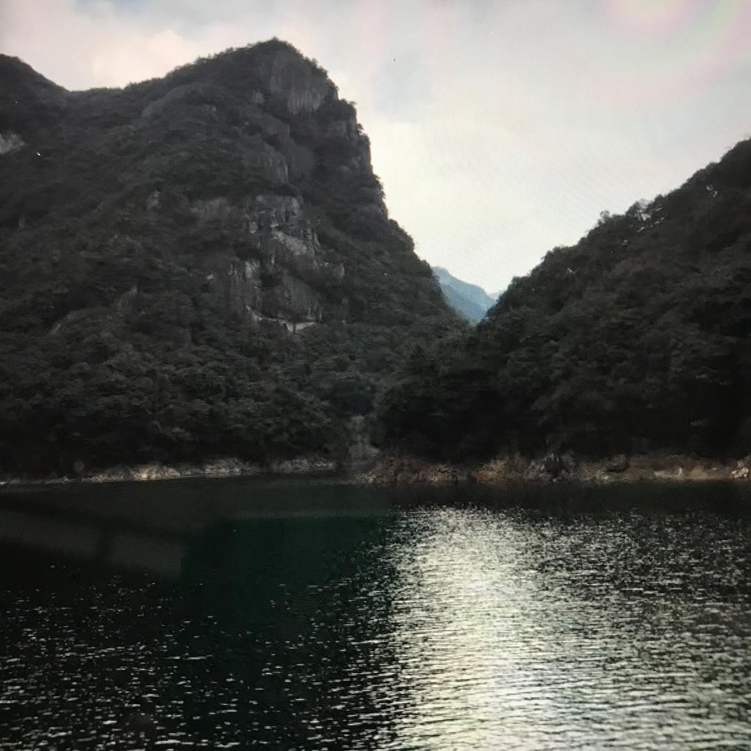 思念