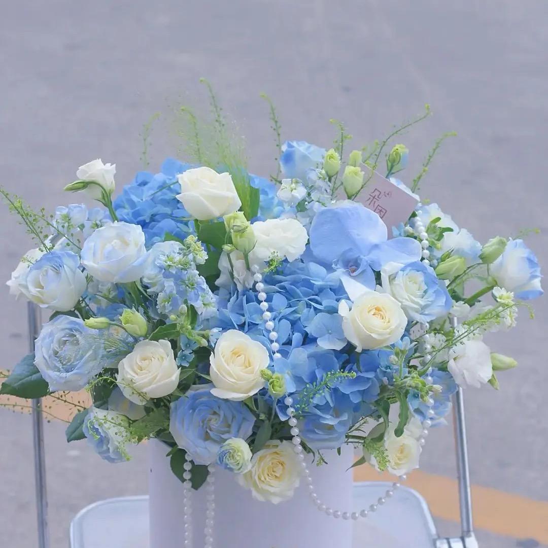 Discover我的花店