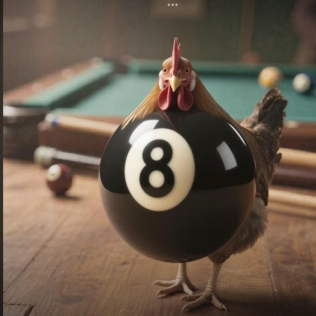 莫名其妙的帅比