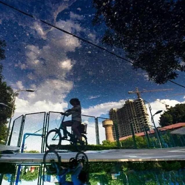 逗    子