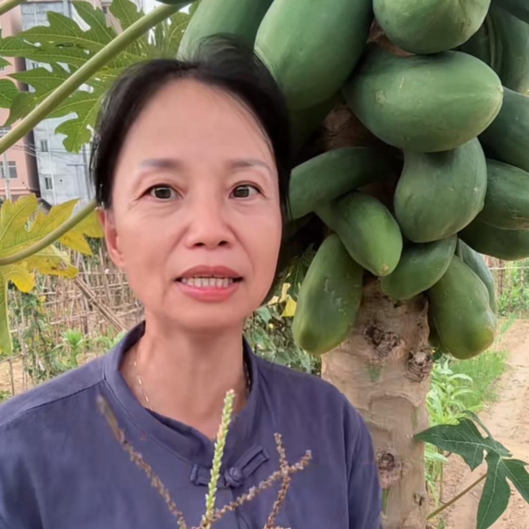 英姐在农村