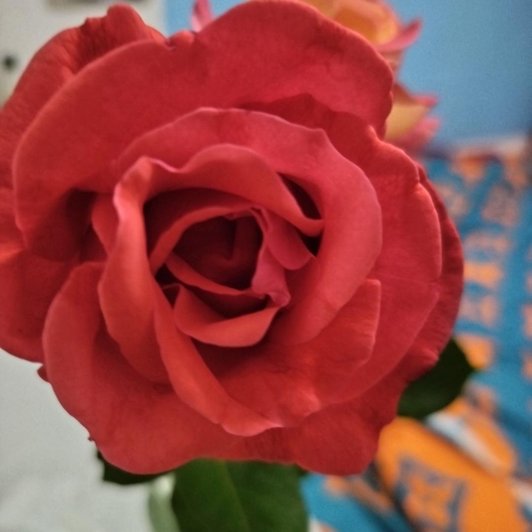 😍罖罖亽亽😍