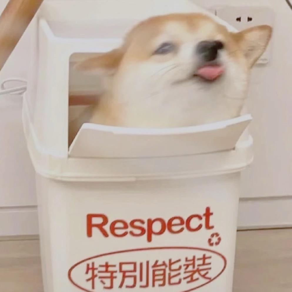 趴趴菜