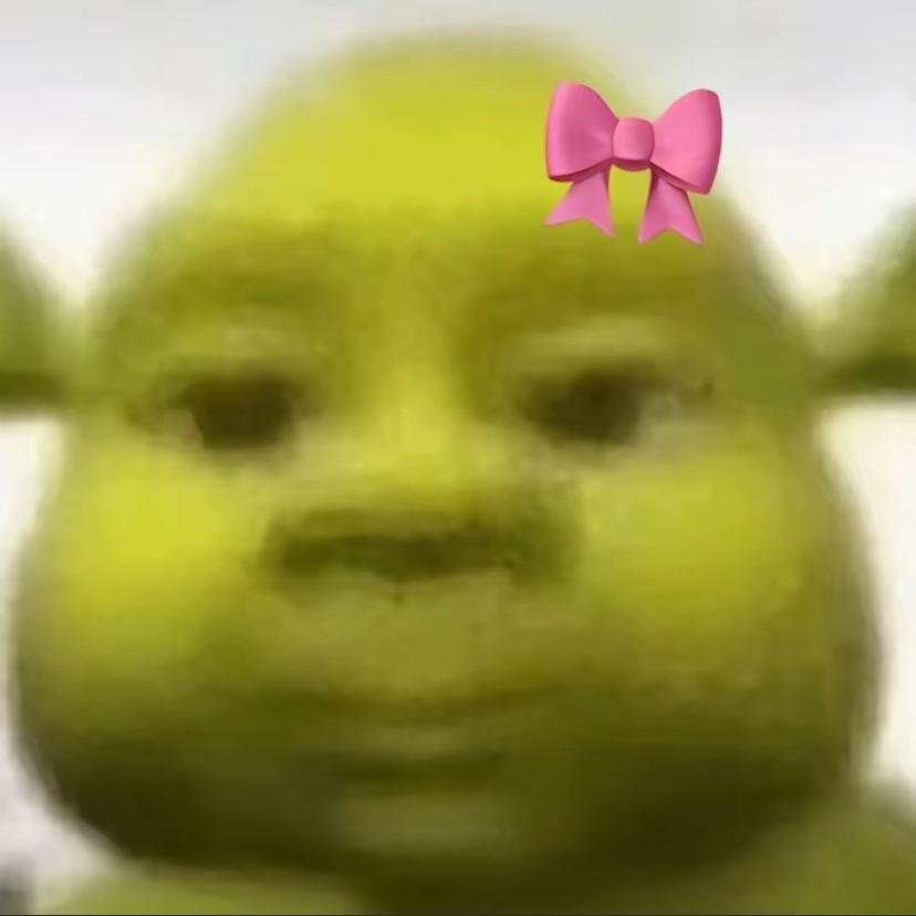 咪咪咪