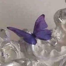 擅长悲观