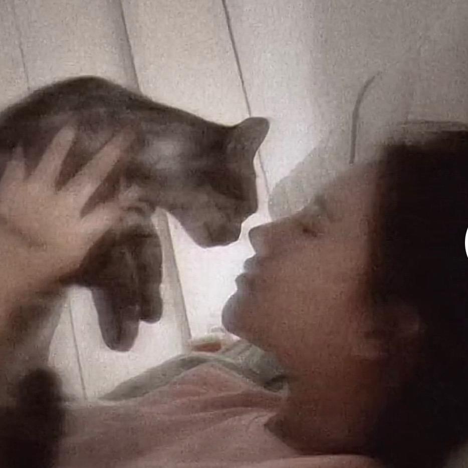 大彻大悟🇲🇲