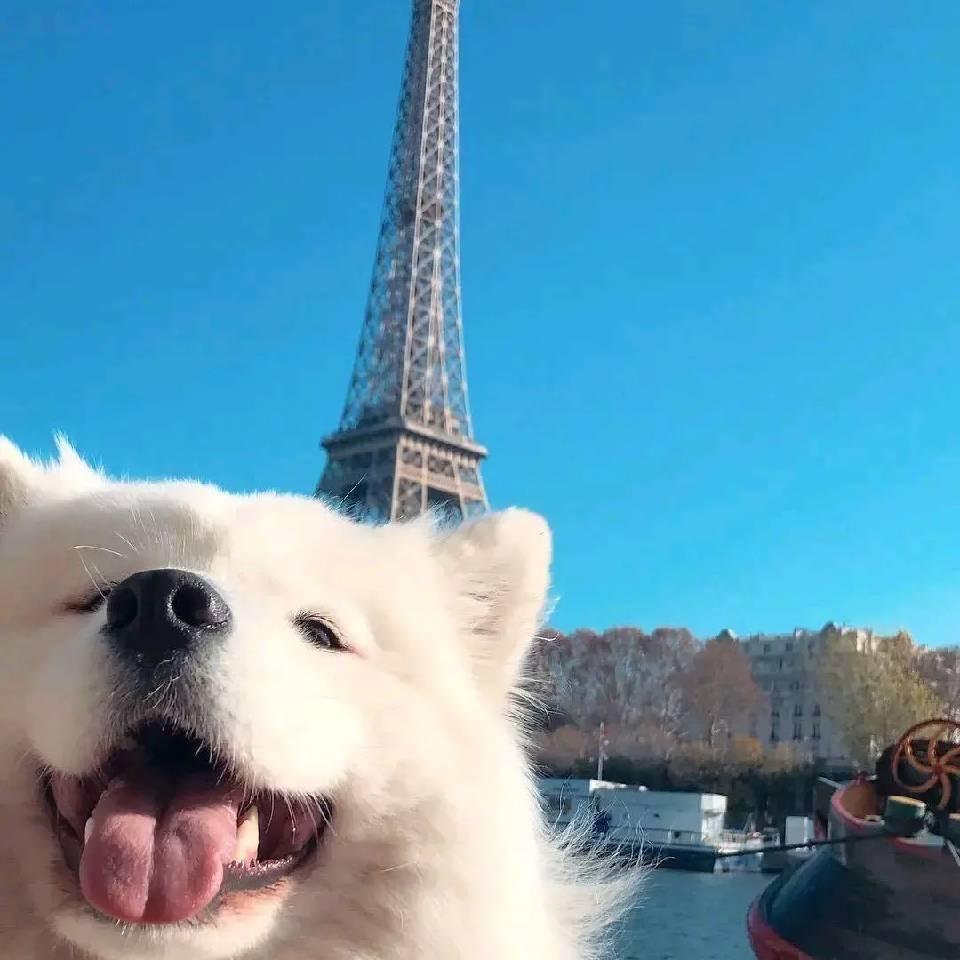 貌赛潘安
