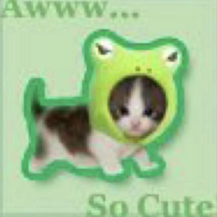 泡泡小粉猪aww