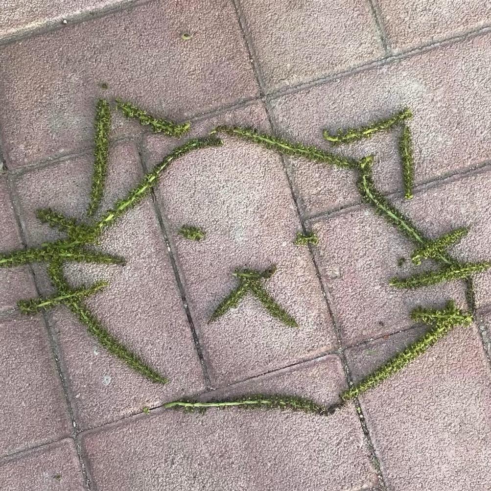 欧耶