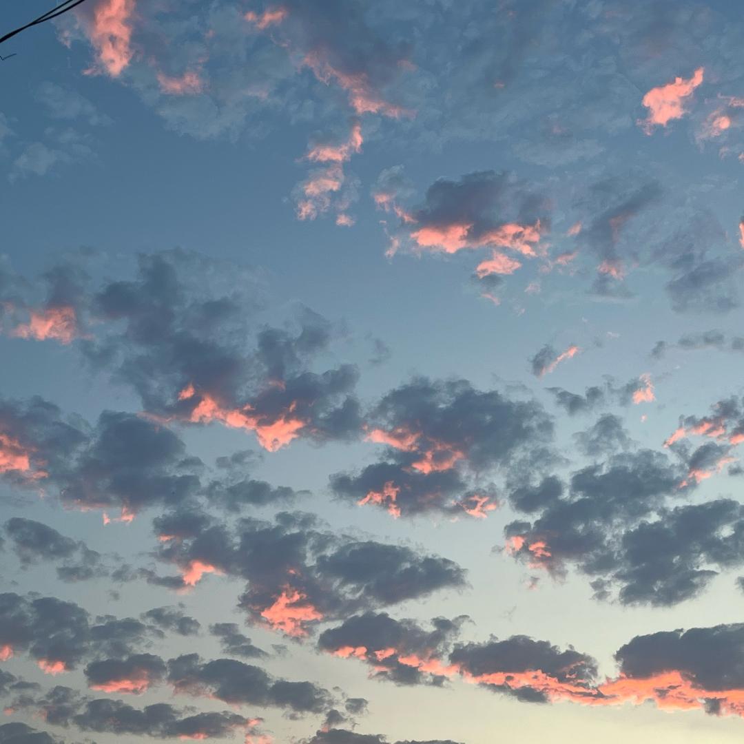 几携（明日之后）