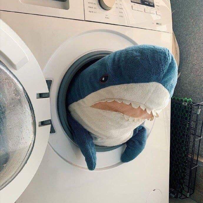是晖不是辉
