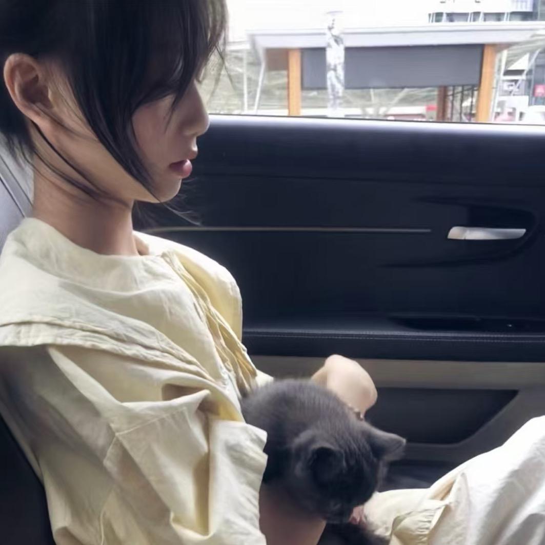 想你时风起