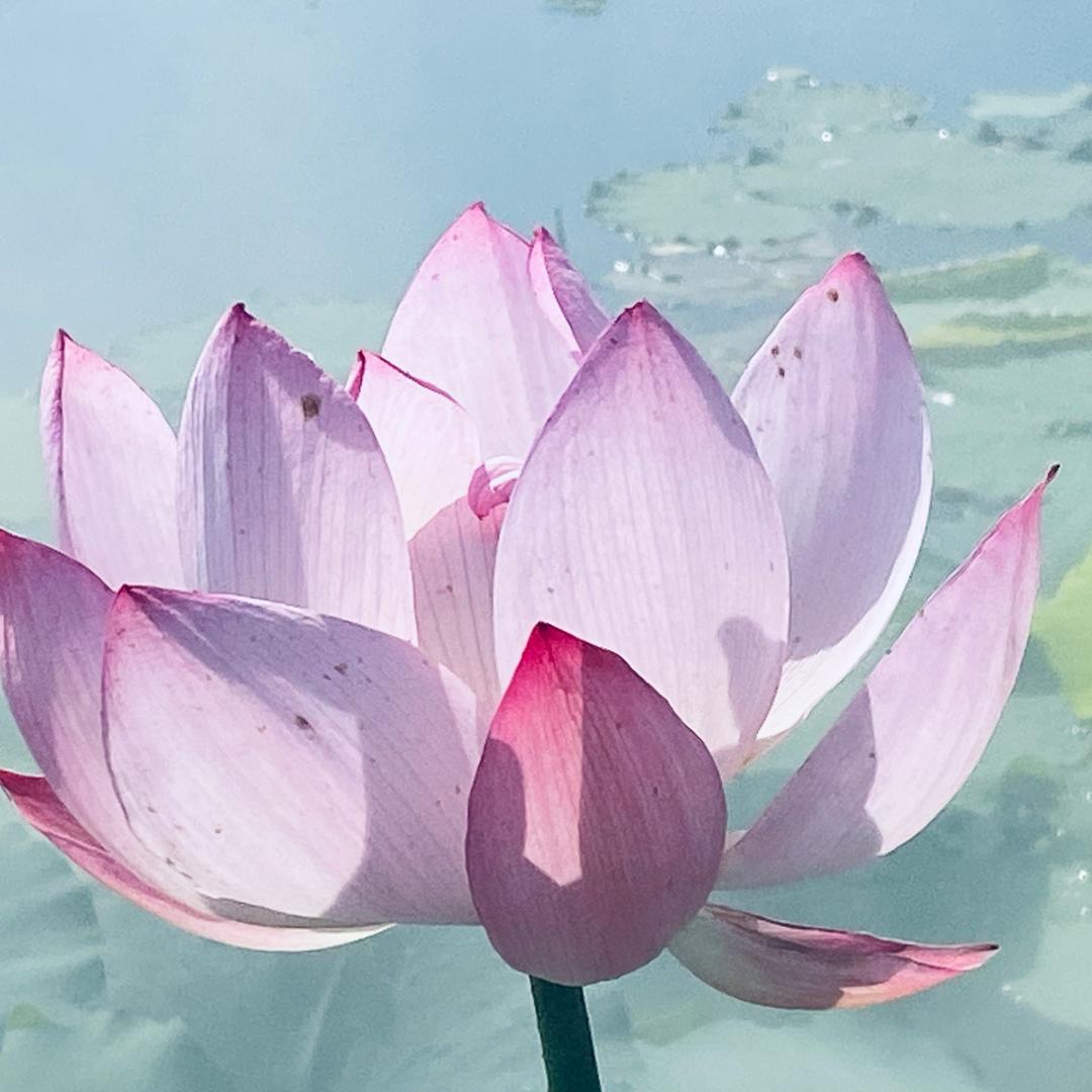懂得