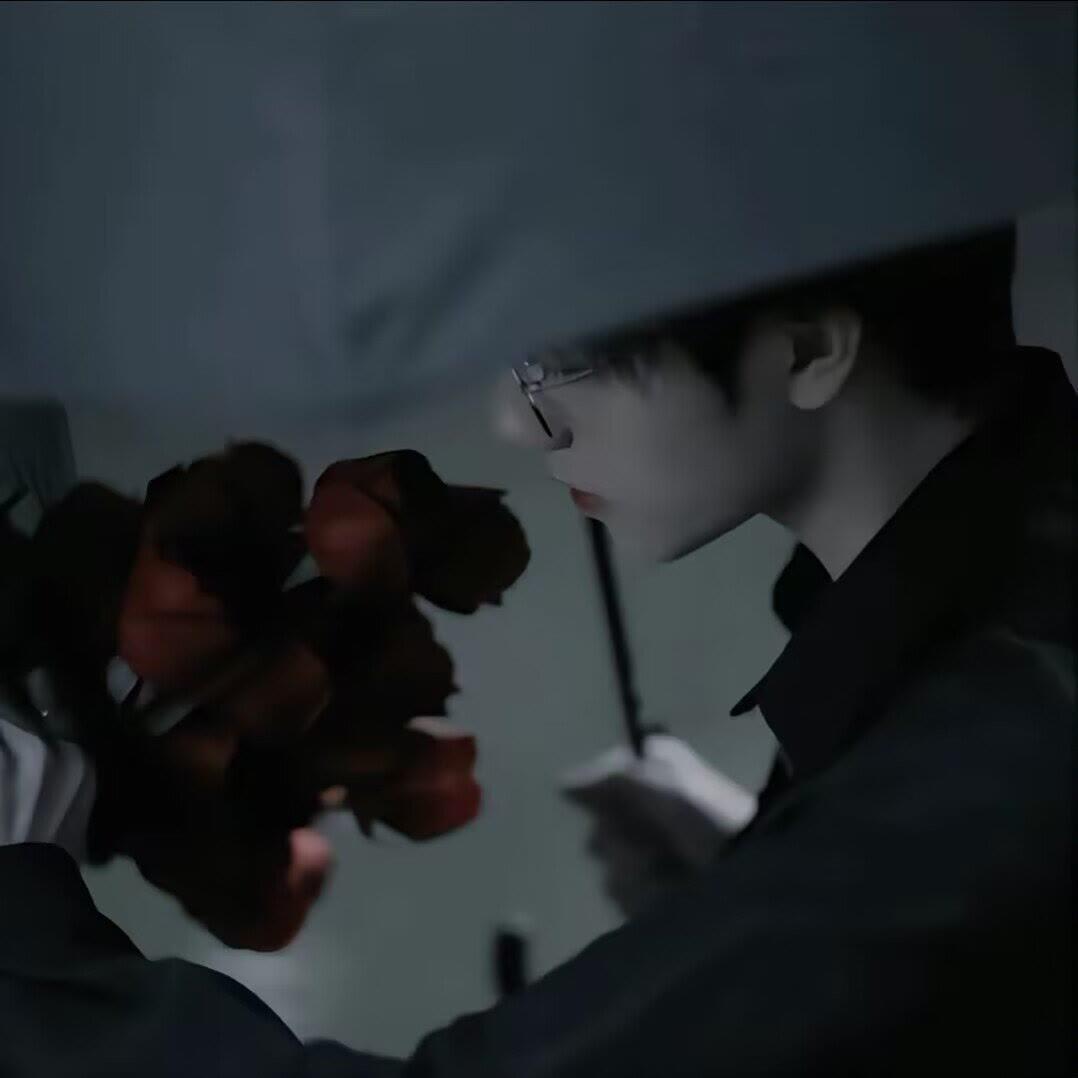 鹿书