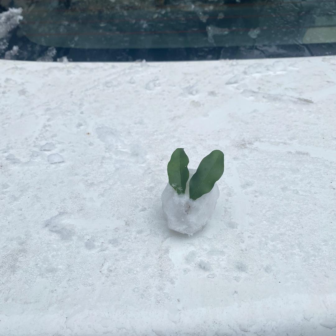 我愿意