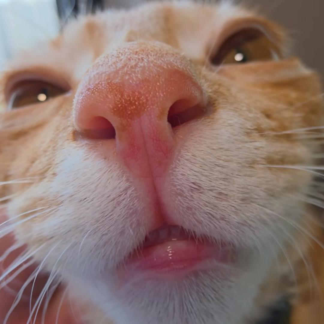 &