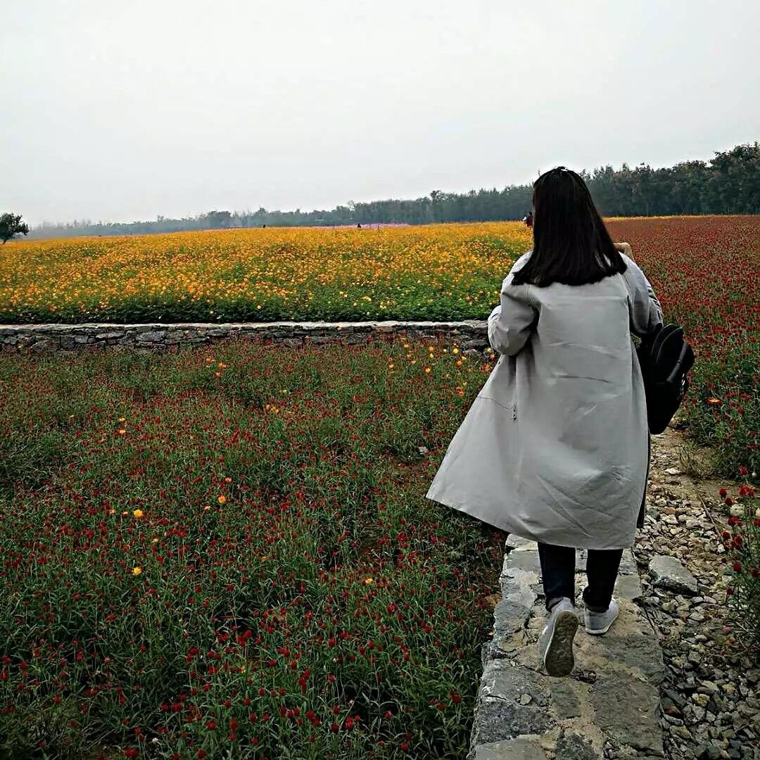 @泗阳张张聊金融