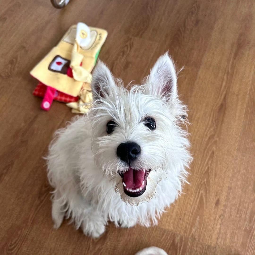 请滑进我的五月