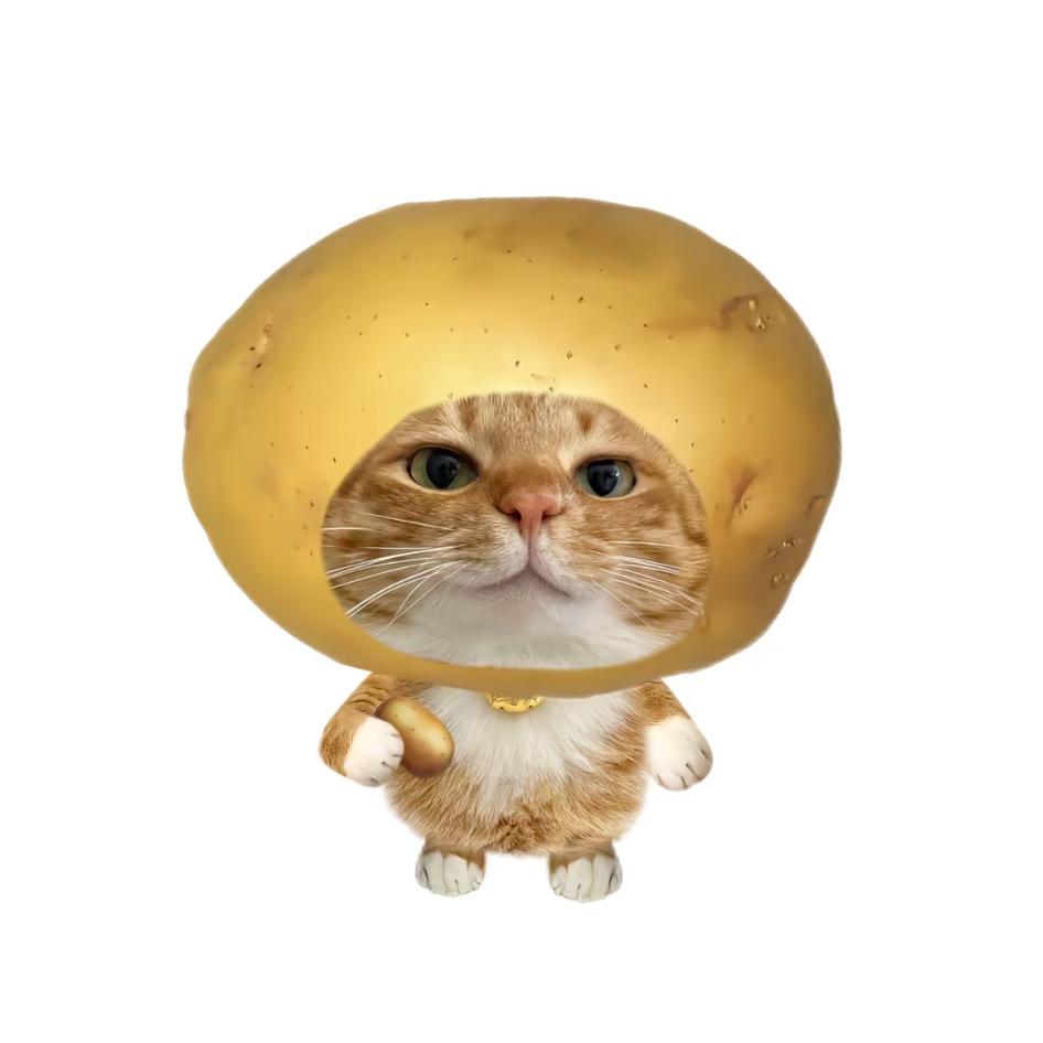 呼呼