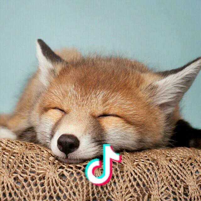 十年夜雨十年灯