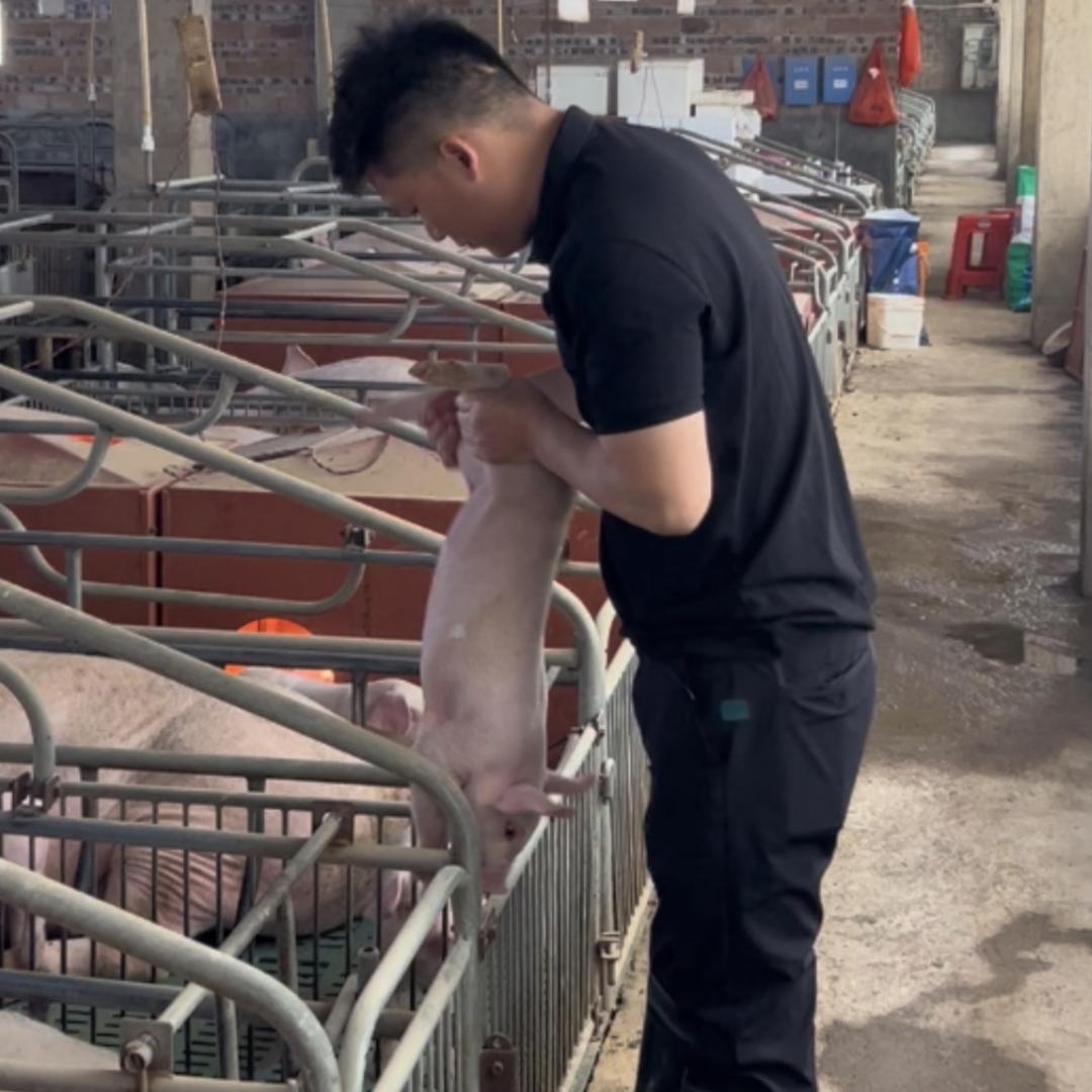 龙华柳旻跃