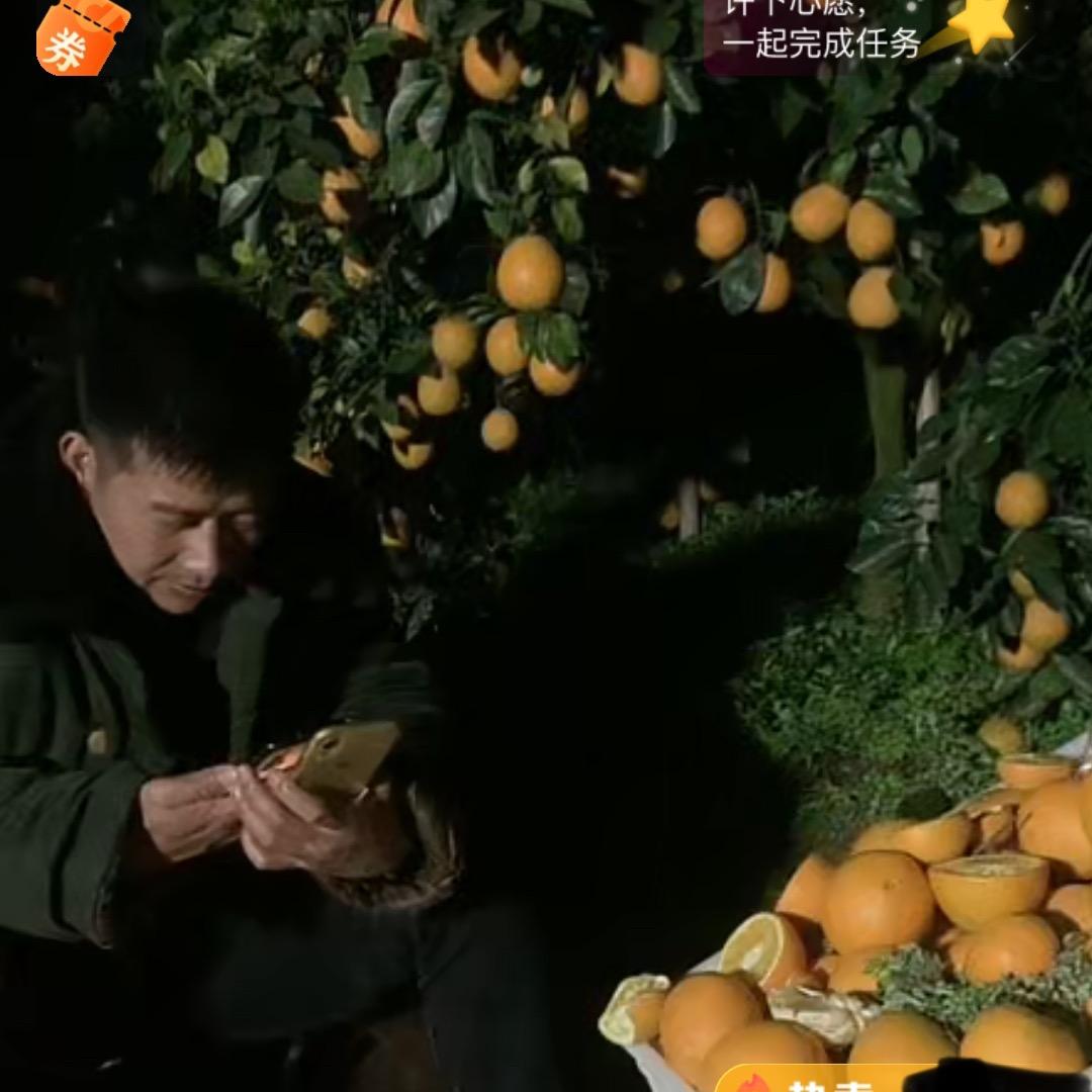 橙乡信丰老