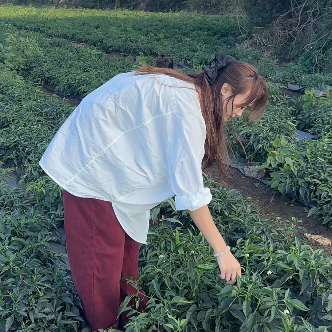 妍姐姐【生鲜米椒】