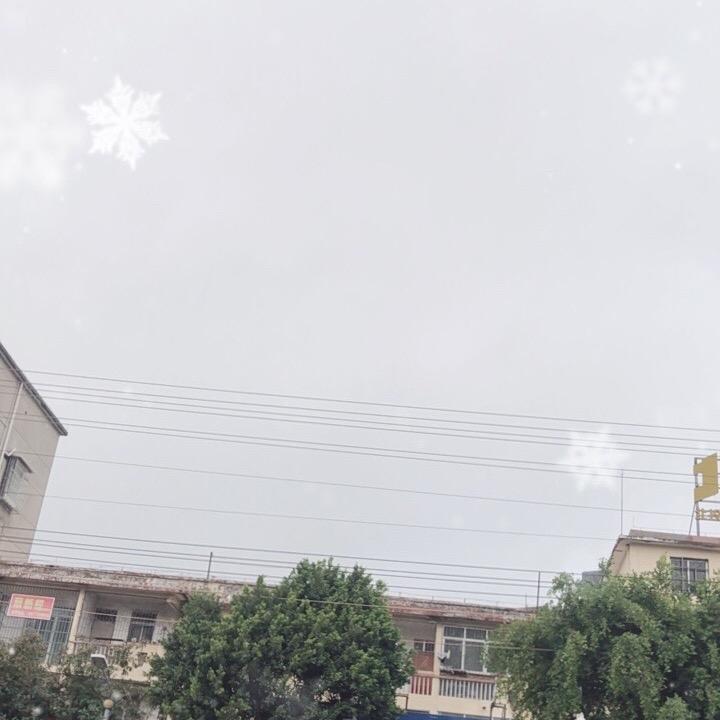你是我的彩彩