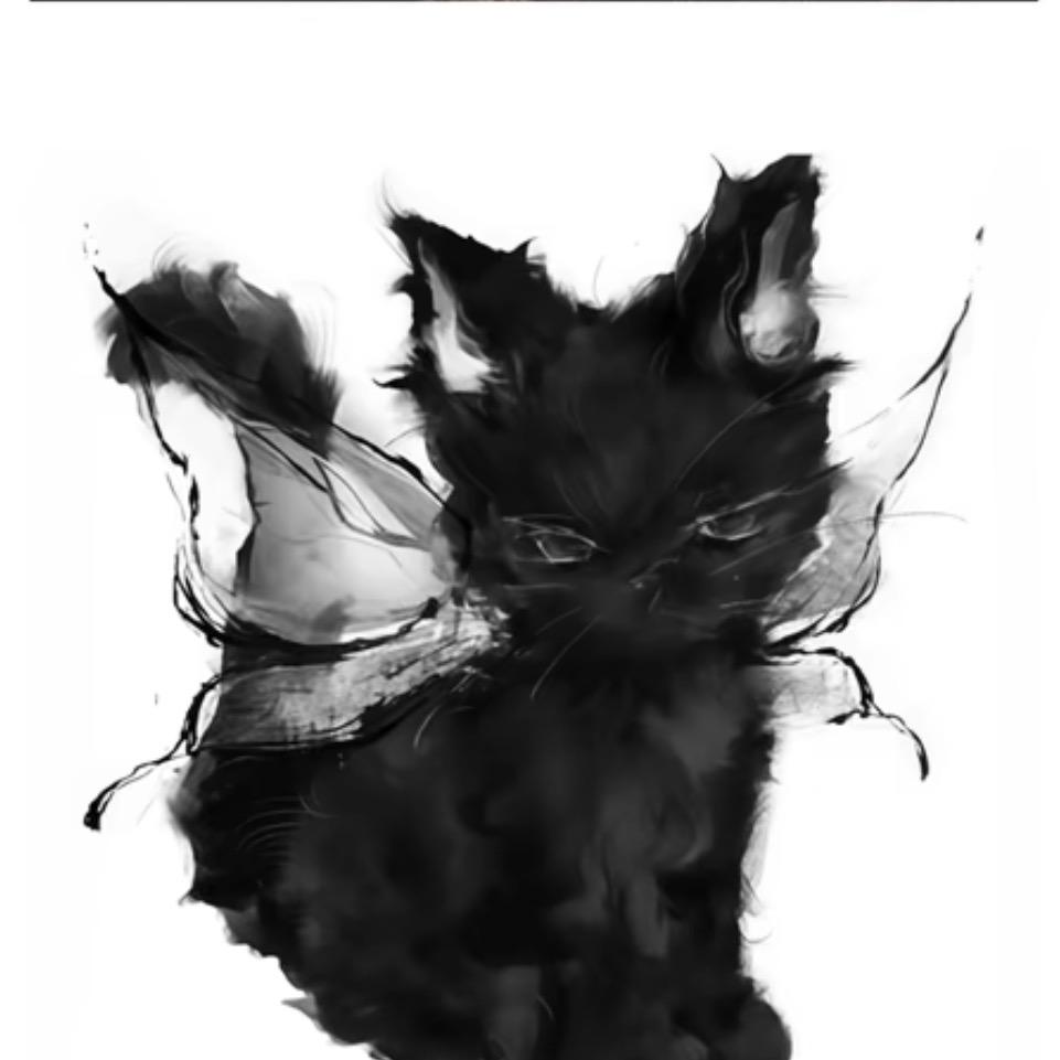 猫🐾