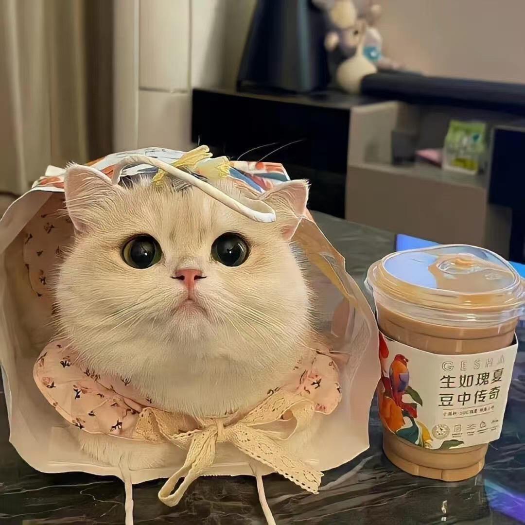 雾蒙蒙