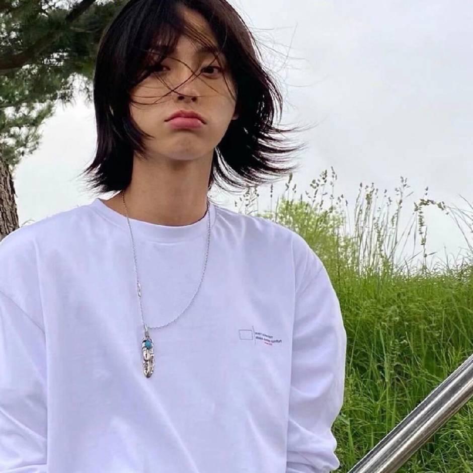 爱吃猫的小鱼干