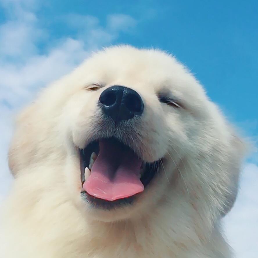 你的强来啦