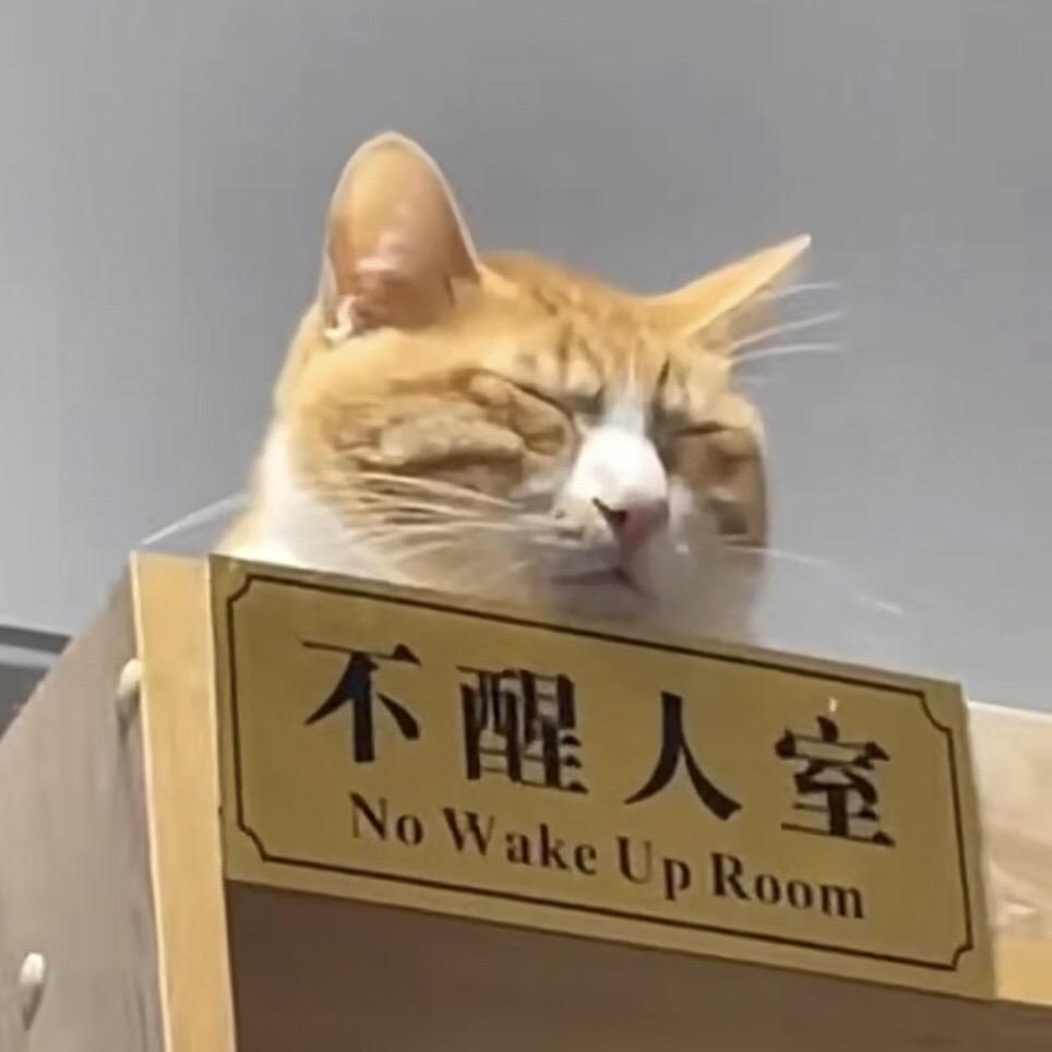 猫猫猫猫猪