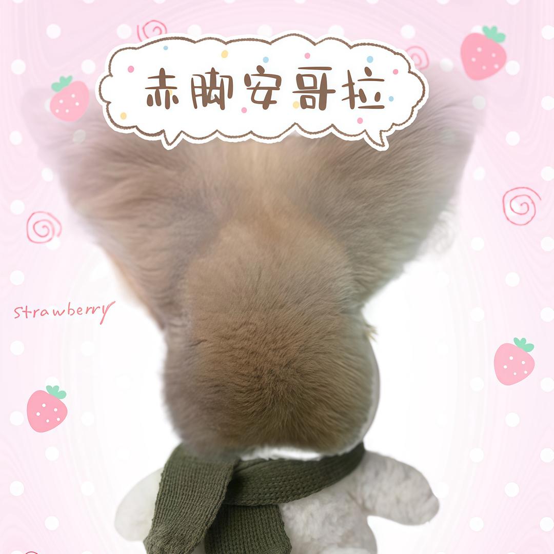 脚脚