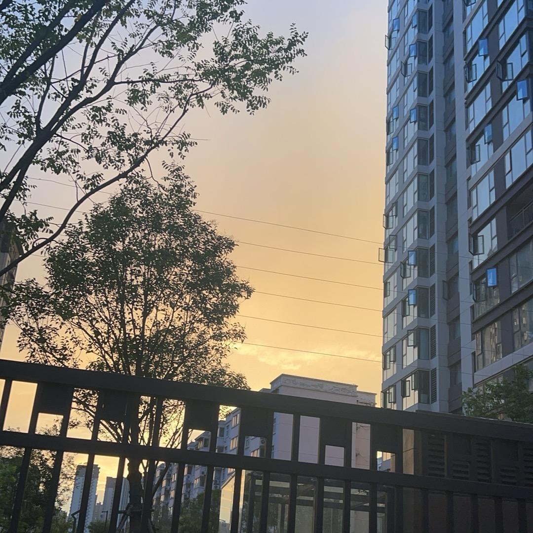 不 晚