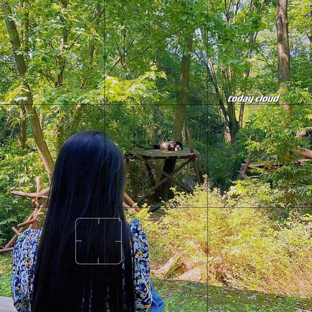 曾曾🌱（带娃版）