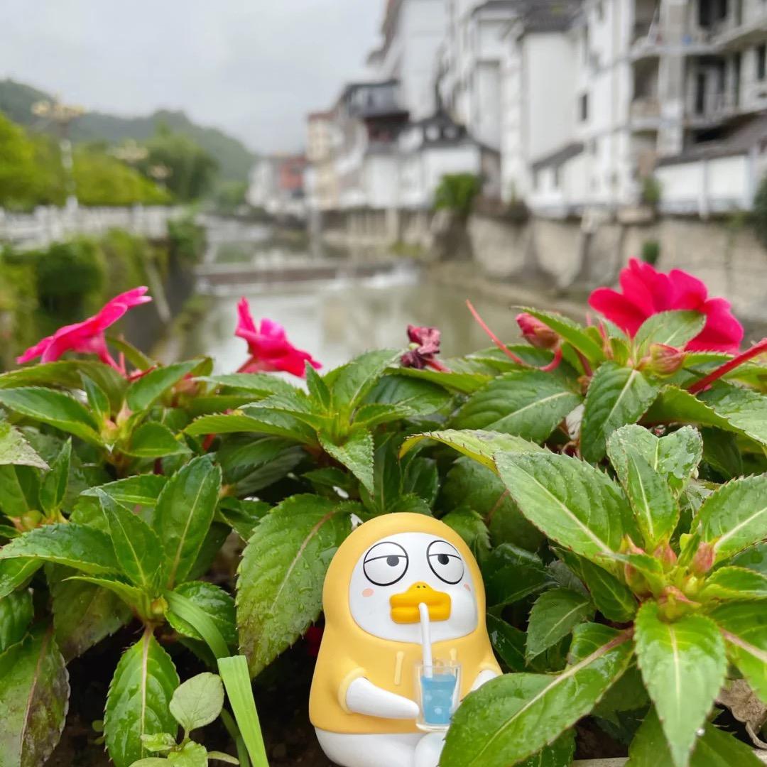 去掉半杯烦恼（孕晚期）