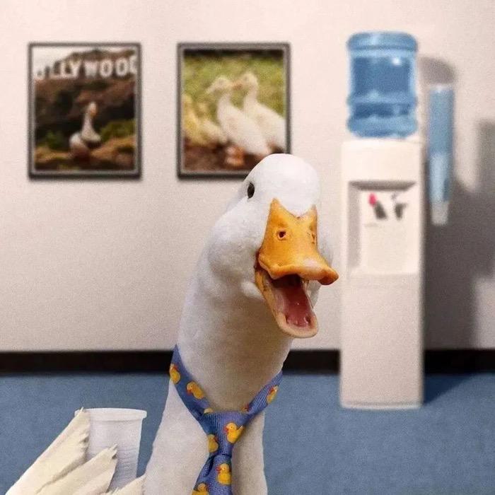 0oO
