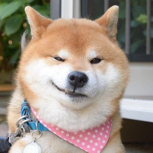 小助理